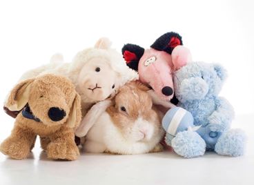 5-те любими Insta животни на GRAZIA