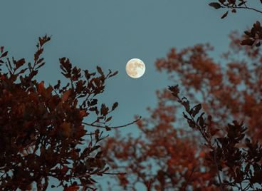 Пълнолунието в Овен е момент за равносметка