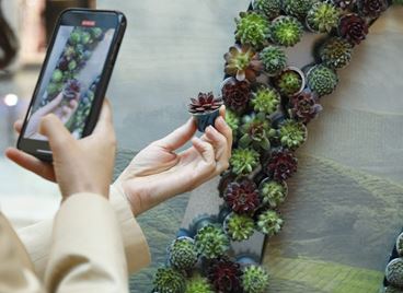 Просто не пропускайте арт инсталацията #DoingIsEverything