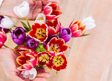 Как да удължим живота на букета си?