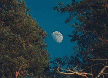 Първата суперлуна за 2025 идва с мощно астрологично послание за всички зодии