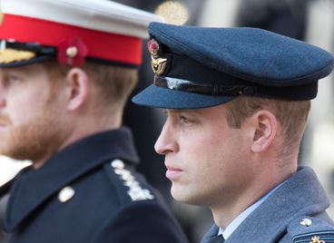 Документален филм ще събере принц Уилям и принц Хари