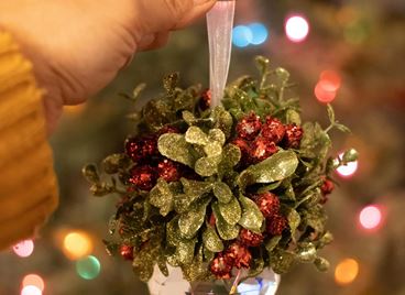 Нежелани гости на Коледа