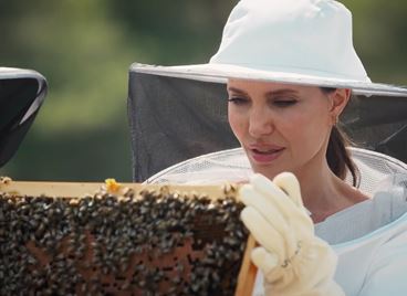 Анджелина Джоли може да се занимава с пчеларство