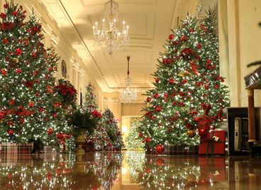 Коледната украса в Белия дом е наистина впечатляваща!