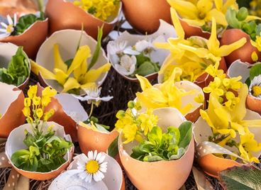 18 идеи за лесна великденска DIY украса