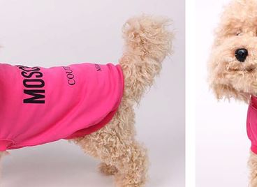 Moschino пуска дизайнерска колекция за домашни любимци