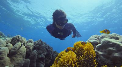 &quot;Под повърхността: Спасяването на коралите&quot; и необикновеното пътешествие на Салма Шaкeр