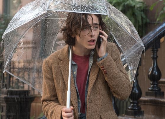 Тимъти Шаламе, като излязъл от роман