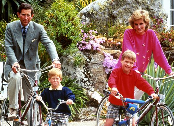 Уилям и Хари обвиниха медиите за смъртта на принцеса Даяна