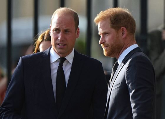 Уилям и Хари се събраха на семейно събитие
