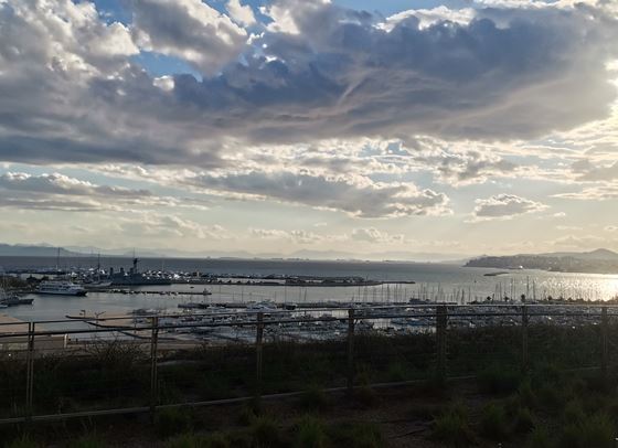 От цветната страна на живота или да се озовеш в Атина през пролетта