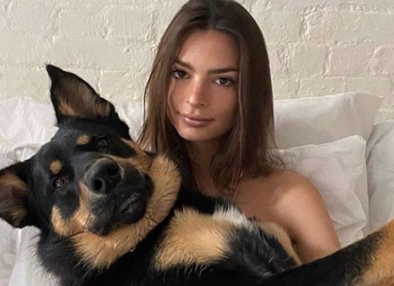 Световeн ден на кучето! Вижте 30 звезди и техните любимци