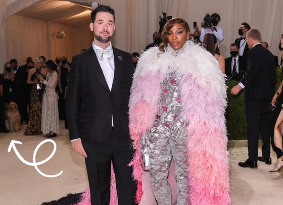 Кое е мистериозното куче от червения килим на Met Gala?