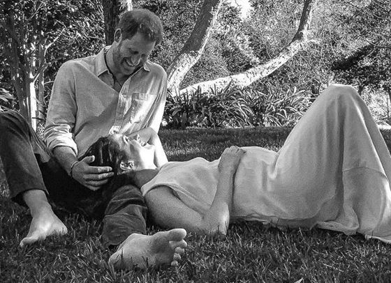 Всички скрити послания в новия кадър на Меган и Хари!