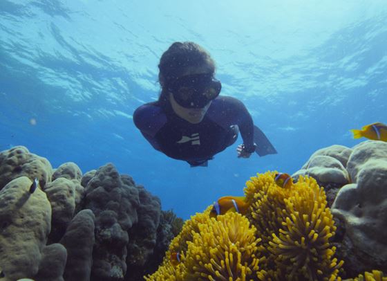 &quot;Под повърхността: Спасяването на коралите&quot; и необикновеното пътешествие на Салма Шaкeр