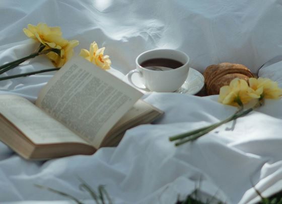 7 книги, които да подариш или започнеш точно сега