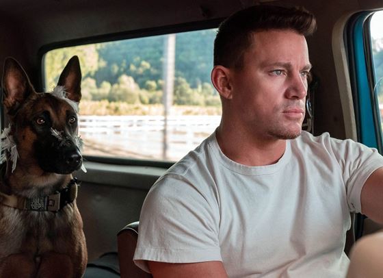 За Чанинг Тейтъм разводът е едно от най-страшните и ужасяващи неща