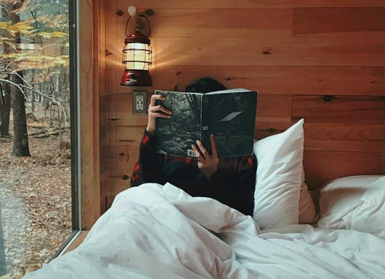 Истории, които те грабват от първата страница