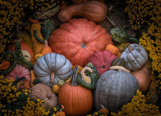Големите ползи на тиквата