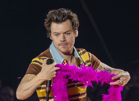 Фен удари Хари Стайлс в лицето по време на концерт