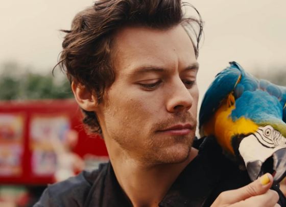 Хари Стайлс е кралят на 2023 година