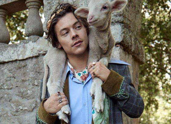 Оливия Уайлд има да каже нещо за Хари Стайлс