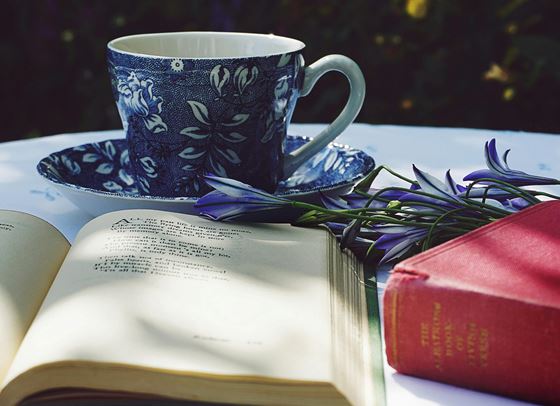 Книгите, които да не пропускаме този месец