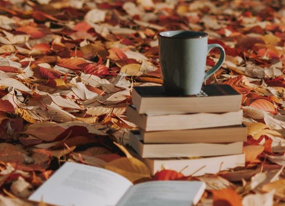 9 заглавия, които ни заплениха този месец