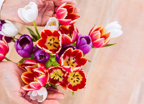 Как да удължим живота на букета си?