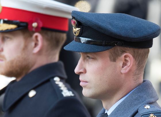 Документален филм ще събере принц Уилям и принц Хари