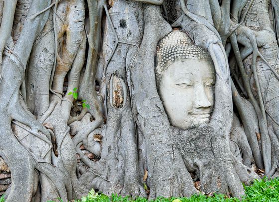 Елена Крапчева заседна в Рая и сега ще ни покани в него